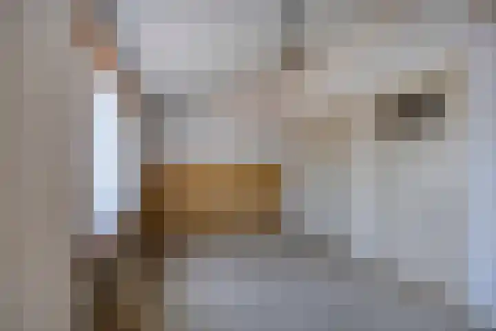 Tuinbouwstraat 6 Zuidoostbeemster thumbnail 23