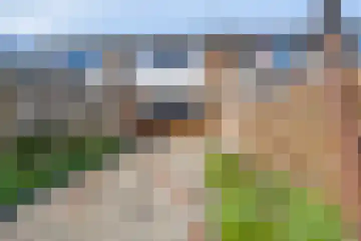 Tuinbouwstraat 6 Zuidoostbeemster thumbnail 4