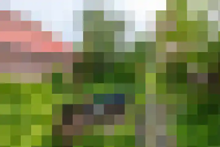 Tuinbouwstraat 9 A Eenrum thumbnail 33