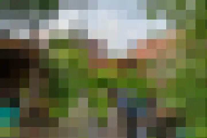 Tuinbouwstraat 9 A Eenrum thumbnail 34