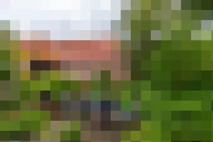 Tuinbouwstraat 9 A Eenrum thumbnail 35