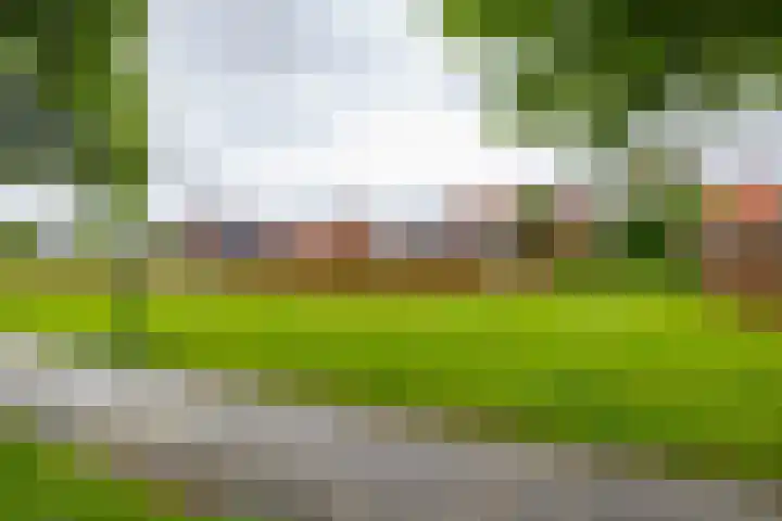 Tuinbouwstraat 9 A Eenrum thumbnail 36