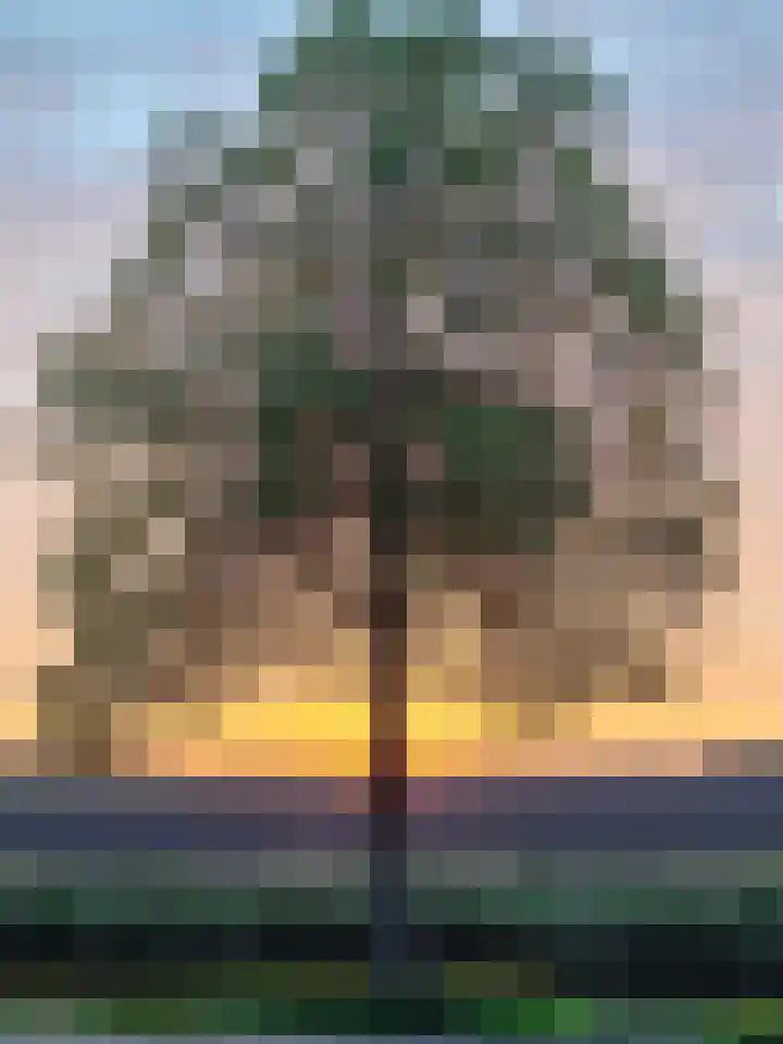Tuinbouwstraat 9 A Eenrum thumbnail 40