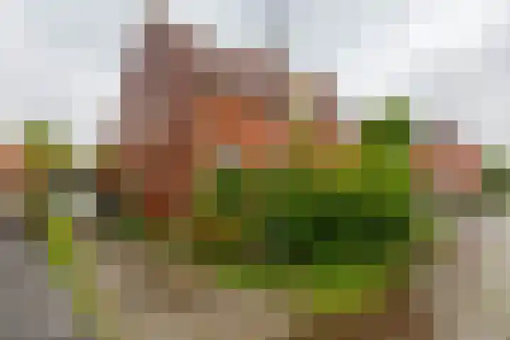 Tuinbouwstraat 9 A Eenrum thumbnail 45