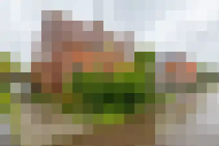 Tuinbouwstraat 9 A Eenrum thumbnail 5