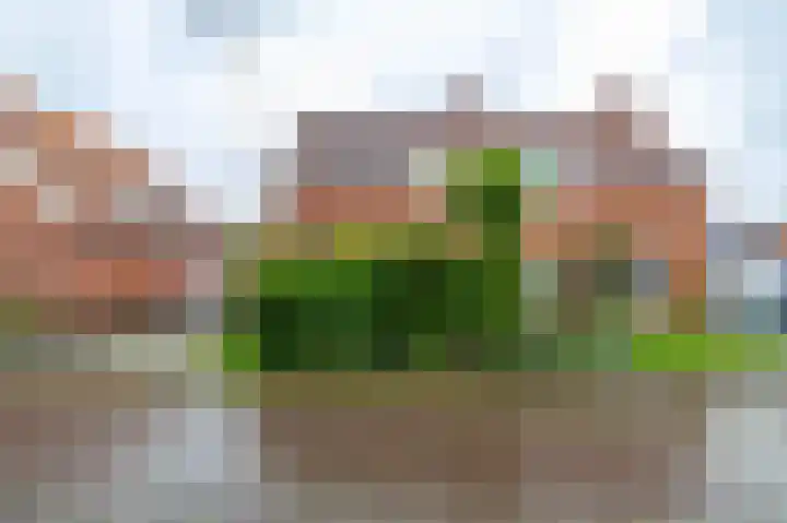 Tuinbouwstraat 9 A Eenrum thumbnail 6