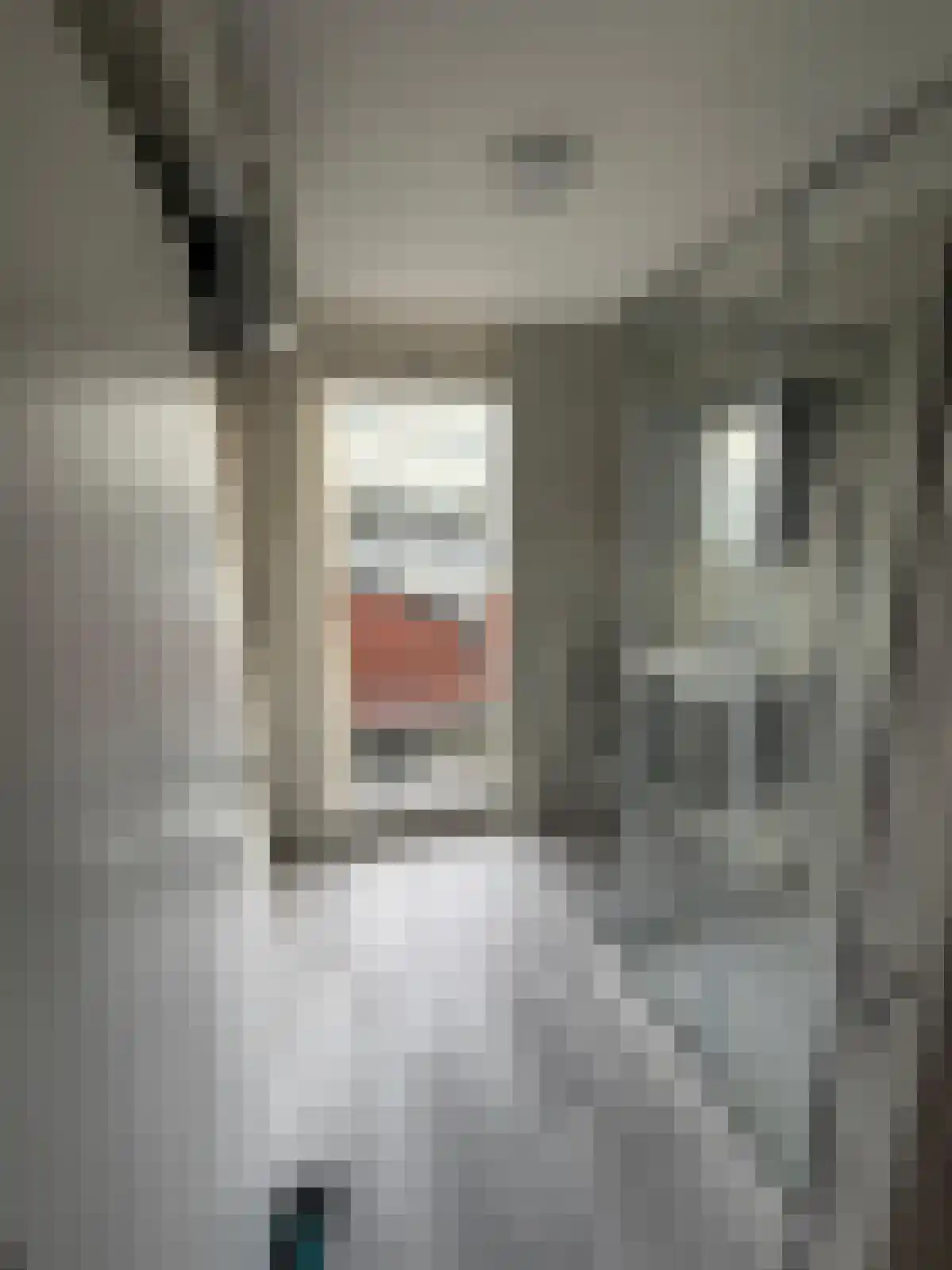 Tuinbouwstraat Groningen thumbnail 4