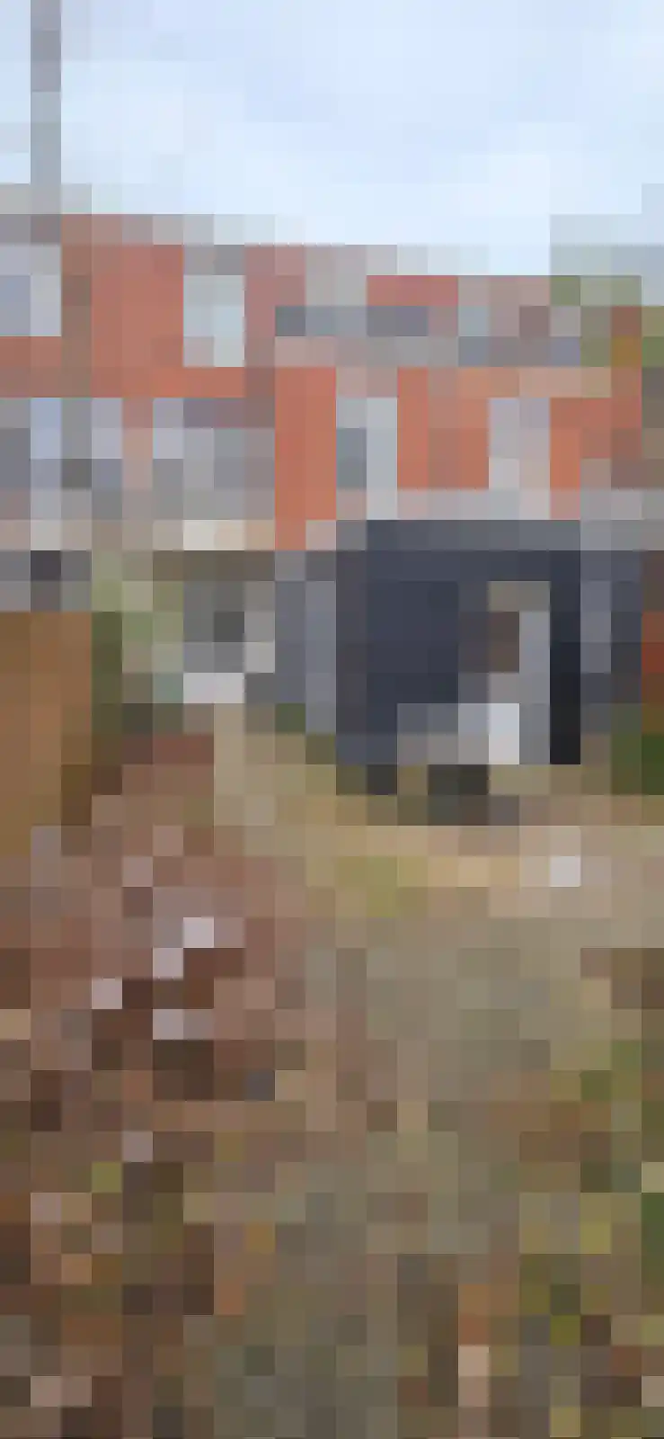 Tuinbouwstraat Groningen thumbnail 4