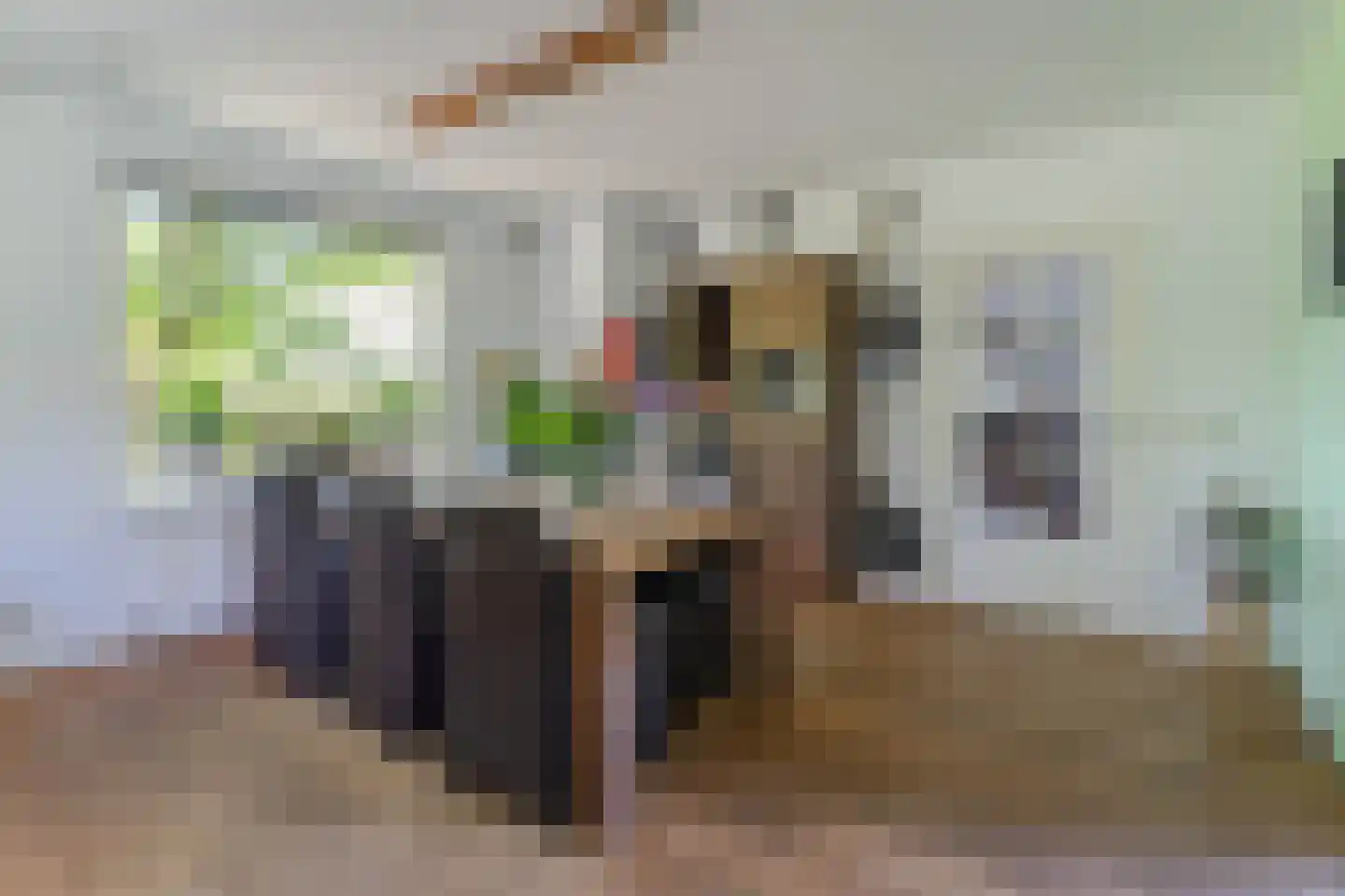 Tuinbouwweg 13 Waddinxveen thumbnail 15