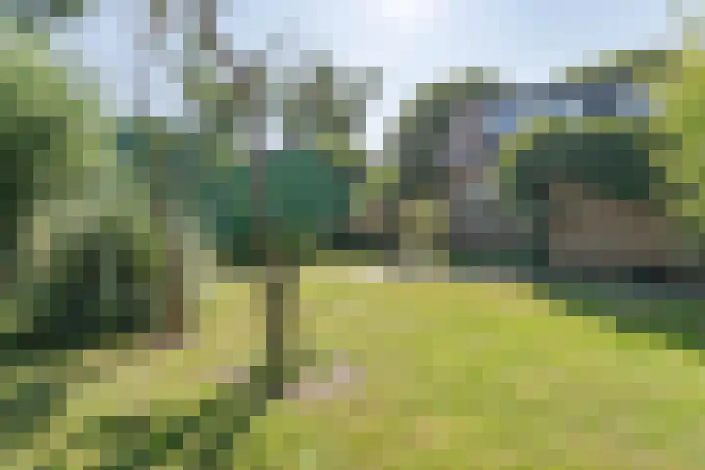 Tuinbouwweg 13 Waddinxveen thumbnail 25