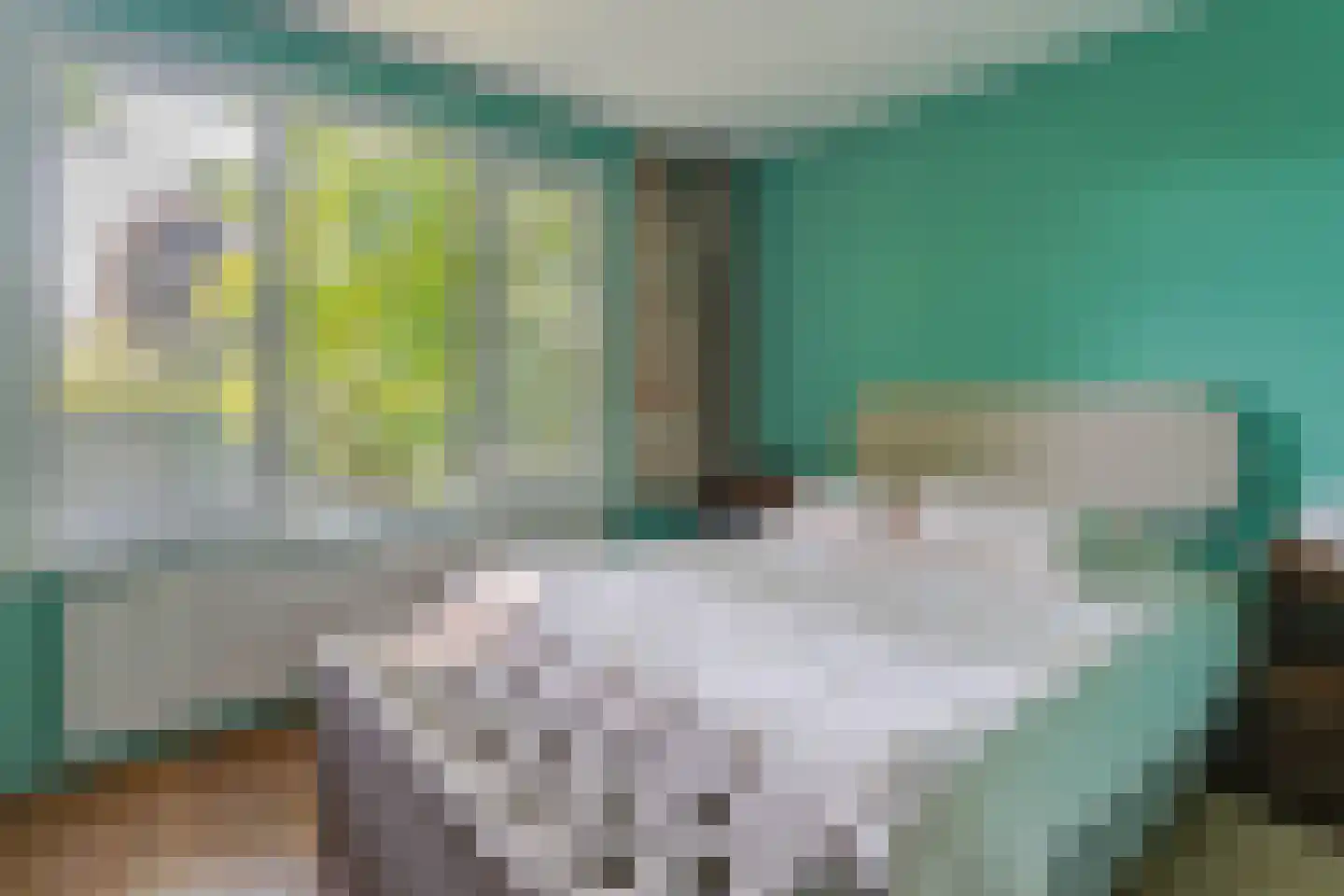 Tuinbouwweg 13 Waddinxveen thumbnail 32