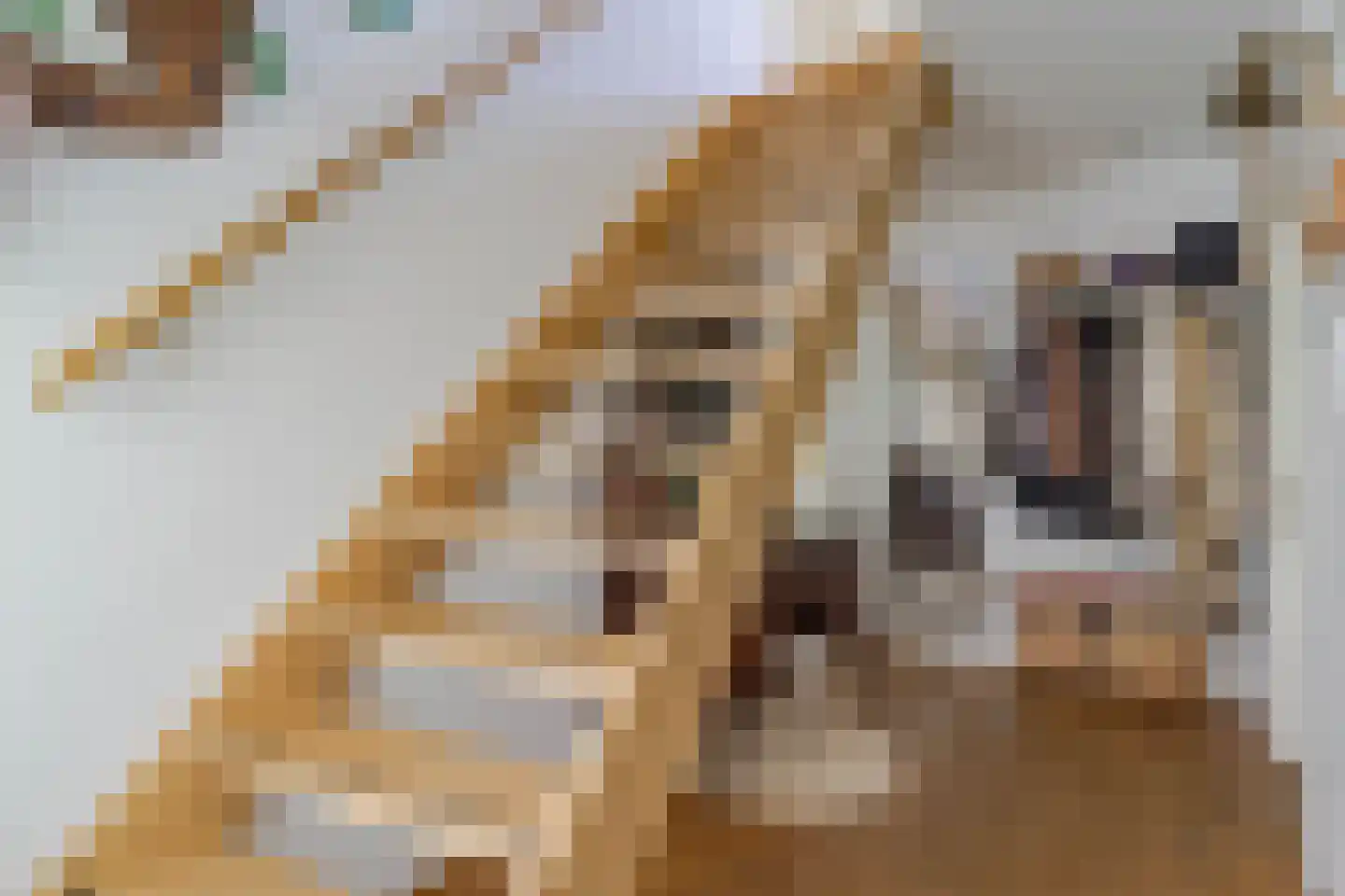 Tuinbouwweg 13 Waddinxveen thumbnail 37