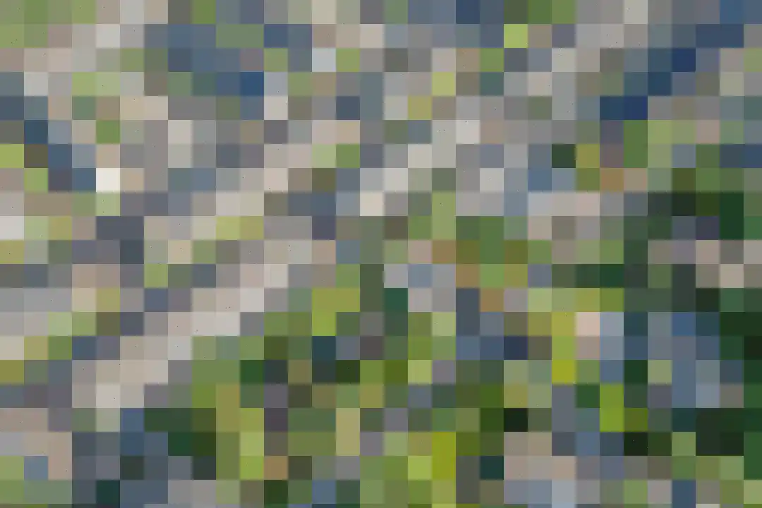 Tuinbouwweg 13 Waddinxveen thumbnail 4