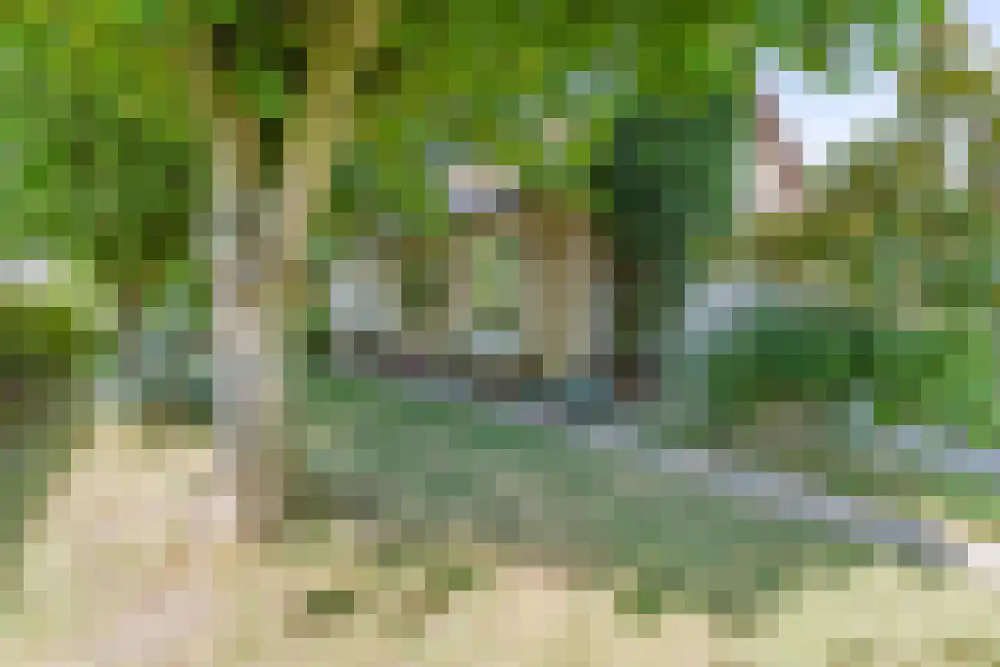 Tuinbouwweg 13 Waddinxveen thumbnail 46