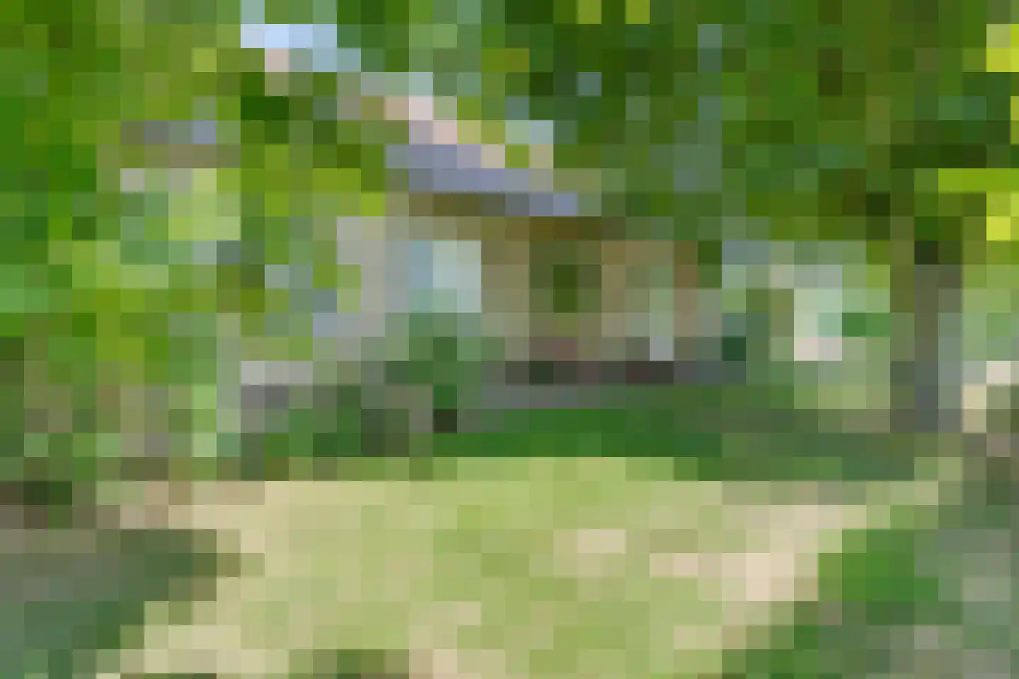Tuinbouwweg 13 Waddinxveen thumbnail 47
