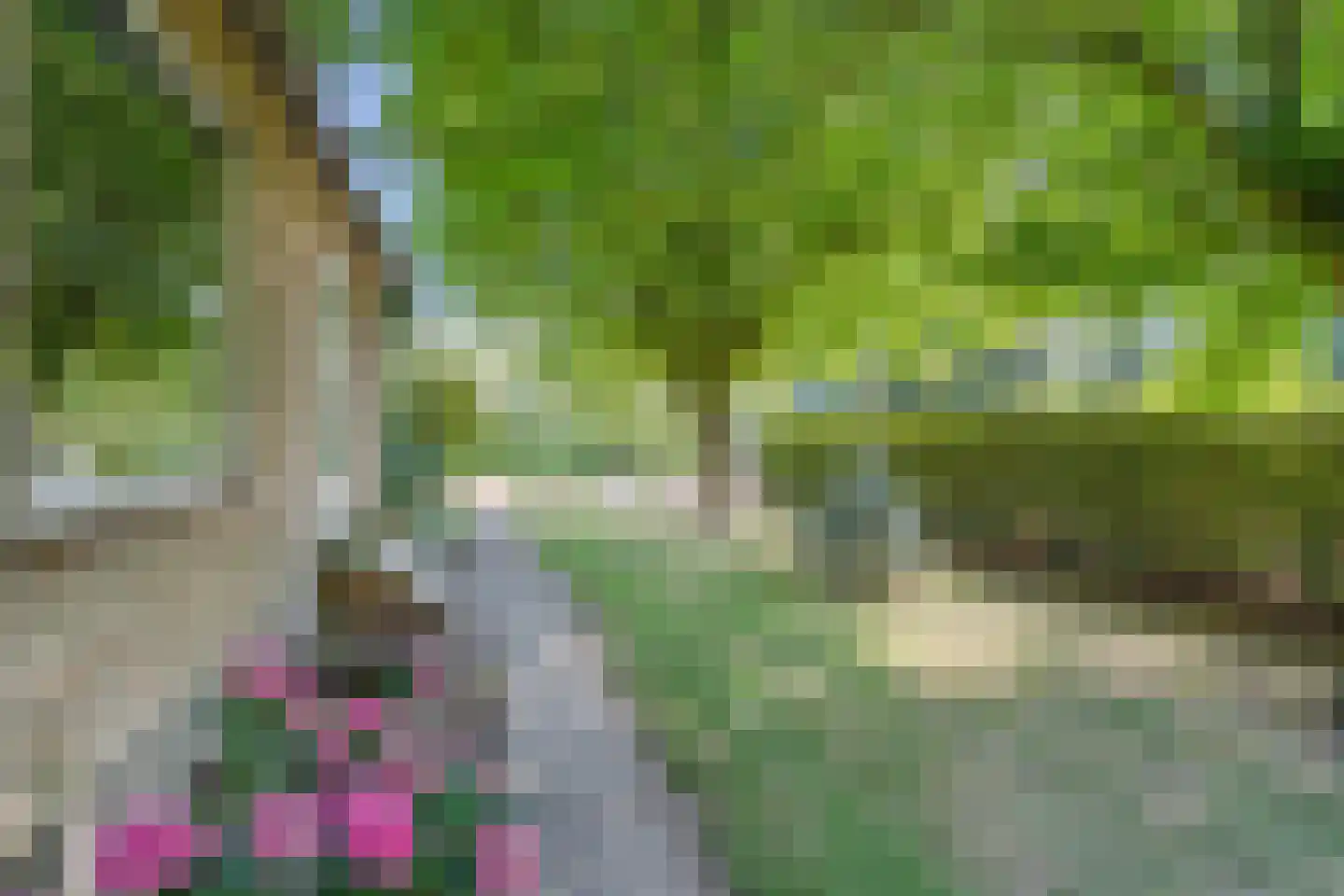 Tuinbouwweg 13 Waddinxveen thumbnail 48