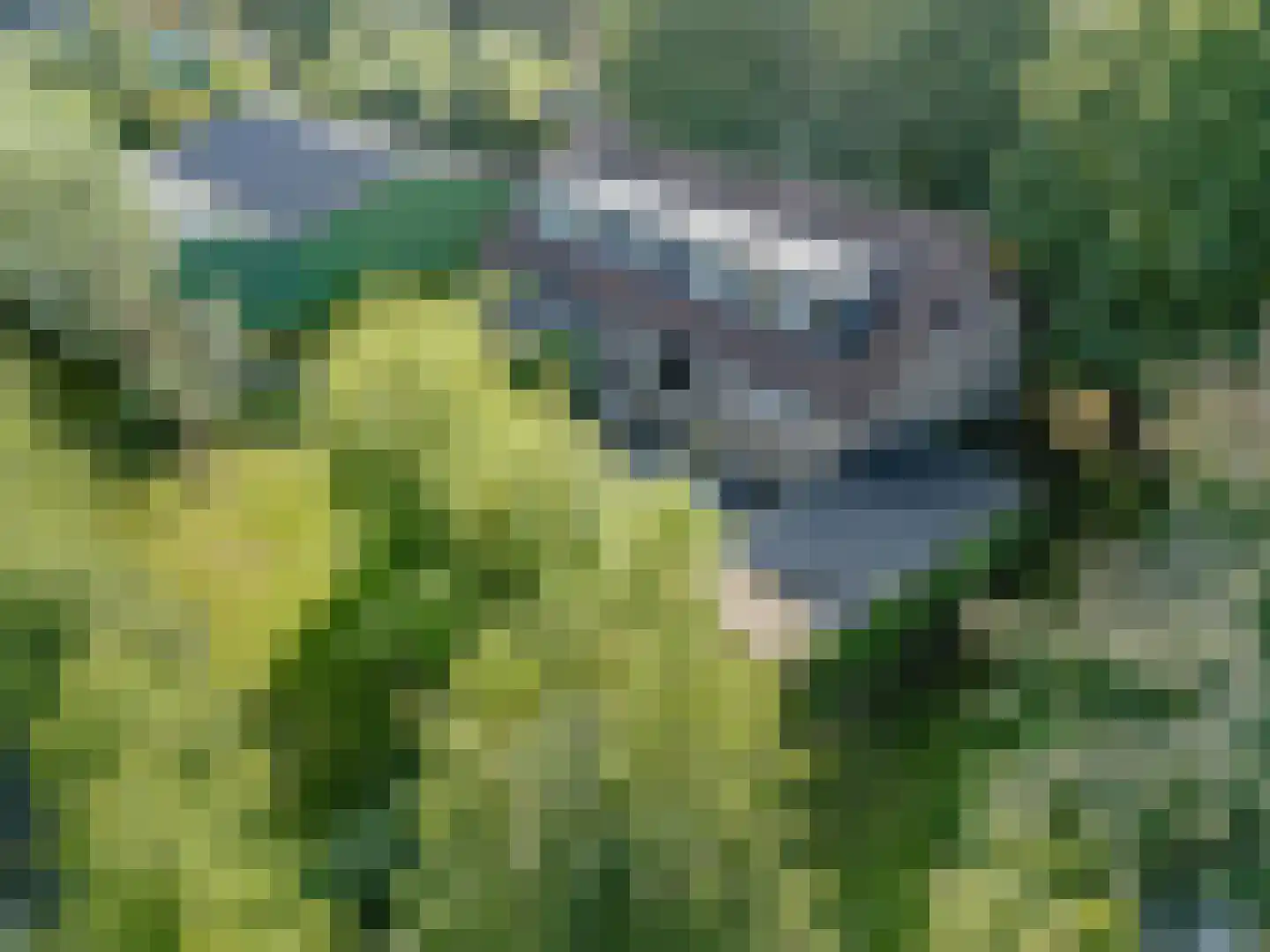 Tuinbouwweg 13 Waddinxveen thumbnail 5