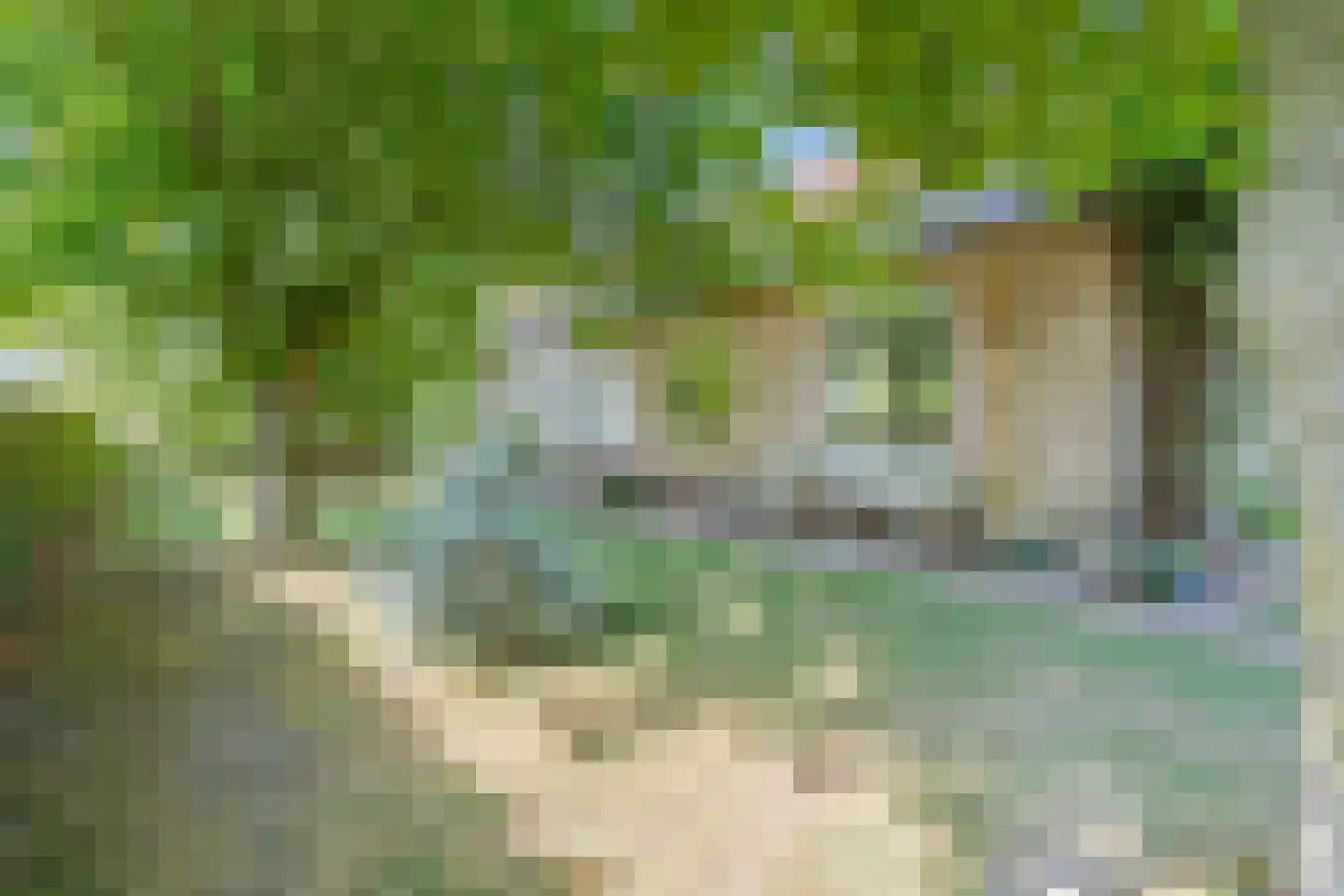Tuinbouwweg 13 Waddinxveen thumbnail 8