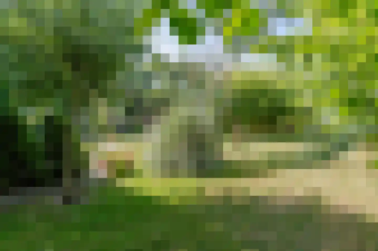 Tuinbouwweg 13 Waddinxveen thumbnail 9