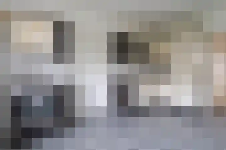 Tuinbouwweg 15 Waddinxveen thumbnail 11