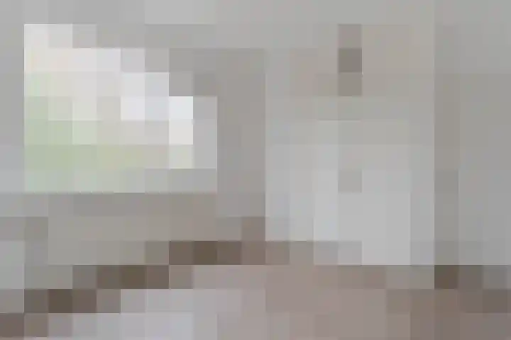 Tuinbouwweg 15 Waddinxveen thumbnail 13