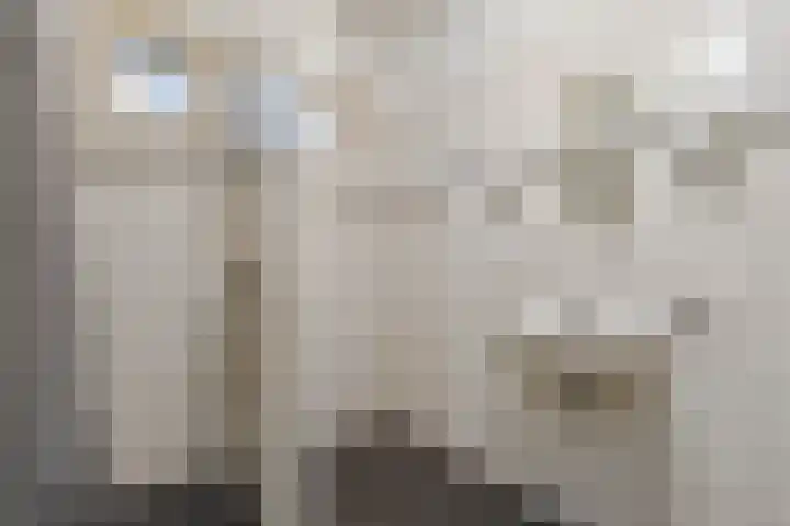 Tuinbouwweg 15 Waddinxveen thumbnail 14