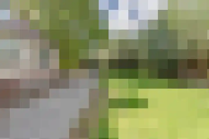 Tuinbouwweg 15 Waddinxveen thumbnail 4