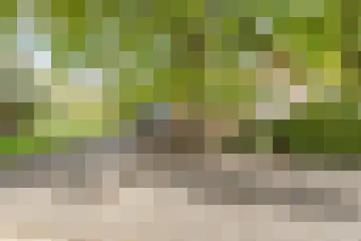 Tuinbouwweg 15 Waddinxveen thumbnail 5