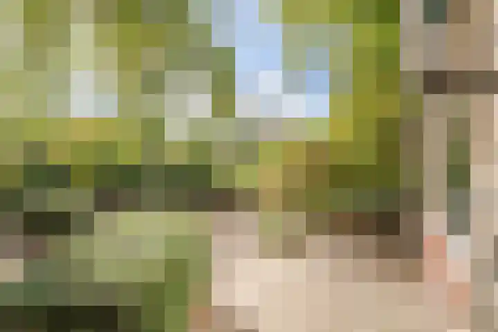 Tuinbouwweg 15 Waddinxveen thumbnail 6