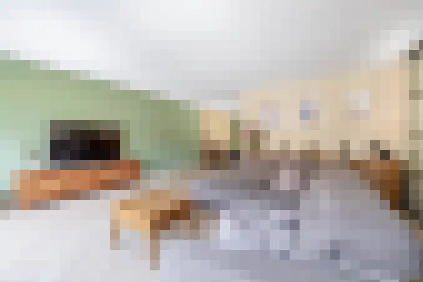 Tuinbouwweg 27 Waddinxveen thumbnail 10