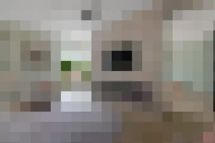Tuinbouwweg 3 D Waddinxveen thumbnail 12
