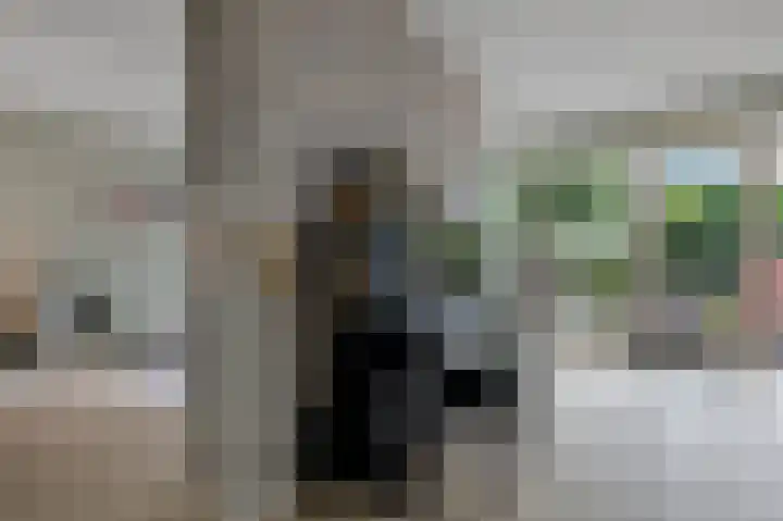 Tuinbouwweg 3 D Waddinxveen thumbnail 13