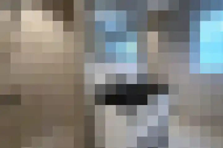 Tuinbouwweg 3 D Waddinxveen thumbnail 19