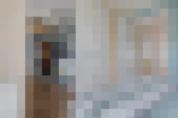 Tuinbouwweg 3 D Waddinxveen thumbnail 21