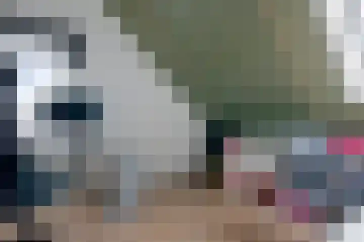 Tuinbouwweg 3 D Waddinxveen thumbnail 22