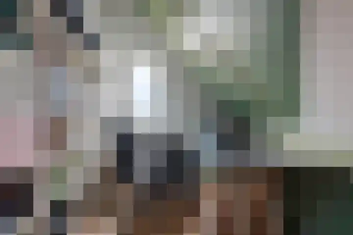 Tuinbouwweg 3 D Waddinxveen thumbnail 23