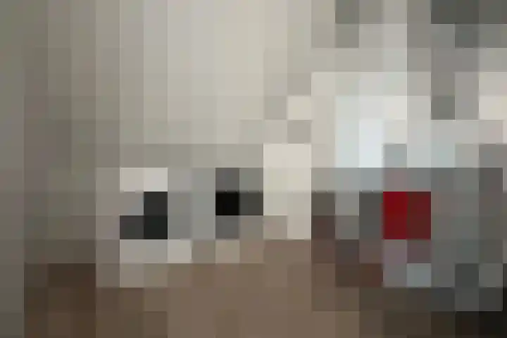 Tuinbouwweg 3 D Waddinxveen thumbnail 24