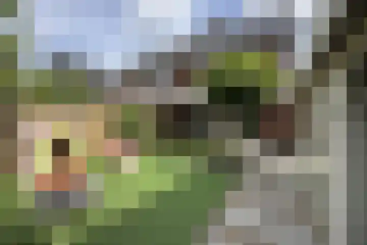 Tuinbouwweg 3 D Waddinxveen thumbnail 26