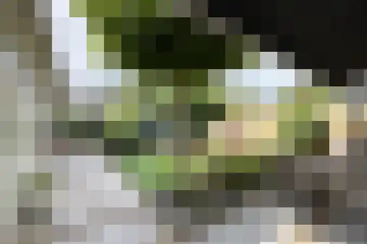 Tuinbouwweg 3 D Waddinxveen thumbnail 27