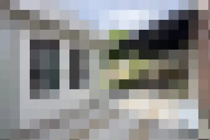 Tuinbouwweg 3 D Waddinxveen thumbnail 29