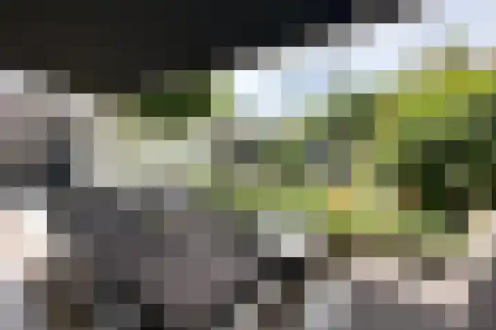 Tuinbouwweg 3 D Waddinxveen thumbnail 30