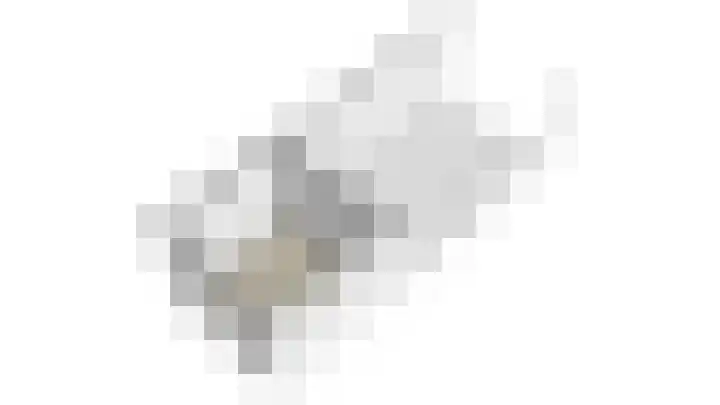 Tuinbouwweg 3 D Waddinxveen thumbnail 40