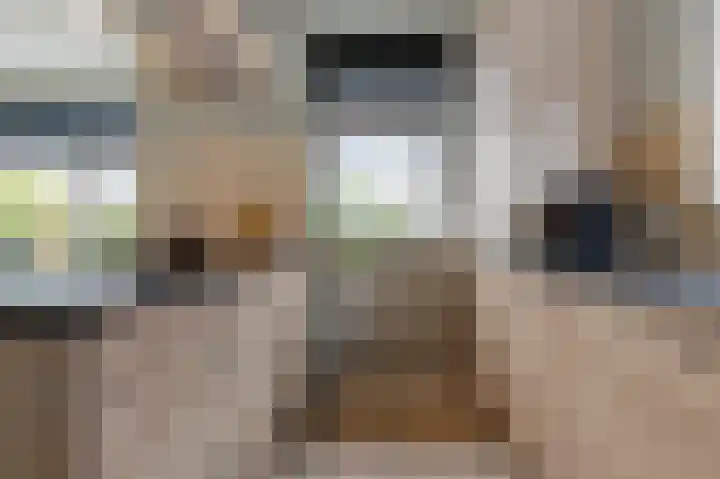 Tuinbouwweg 3 D Waddinxveen thumbnail 8