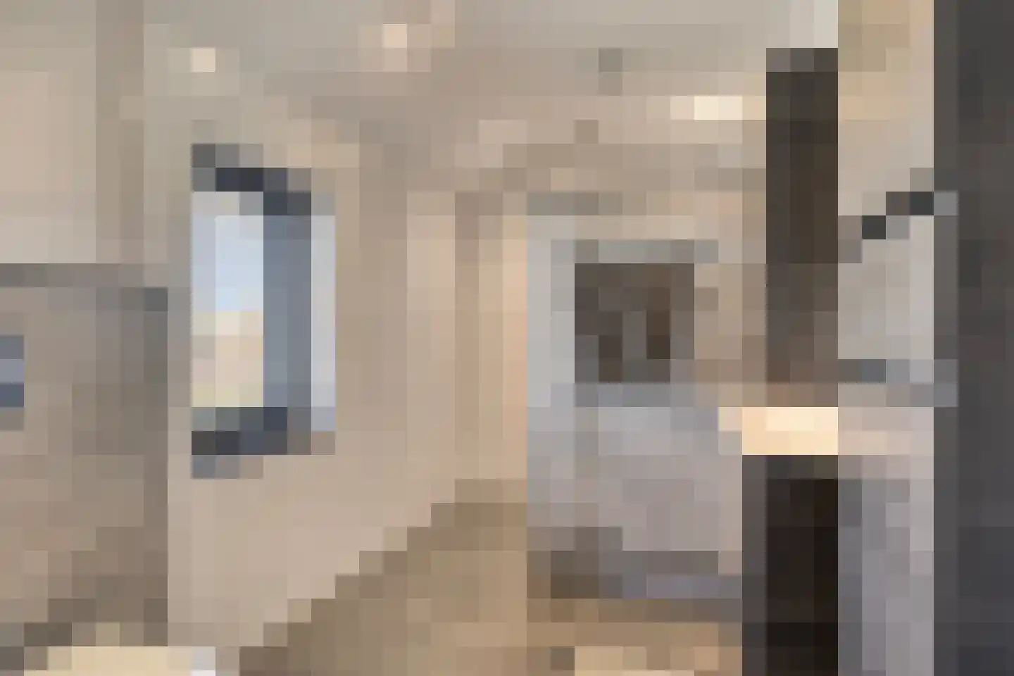 Tuinbouwweg 30 Haarsteeg thumbnail 38