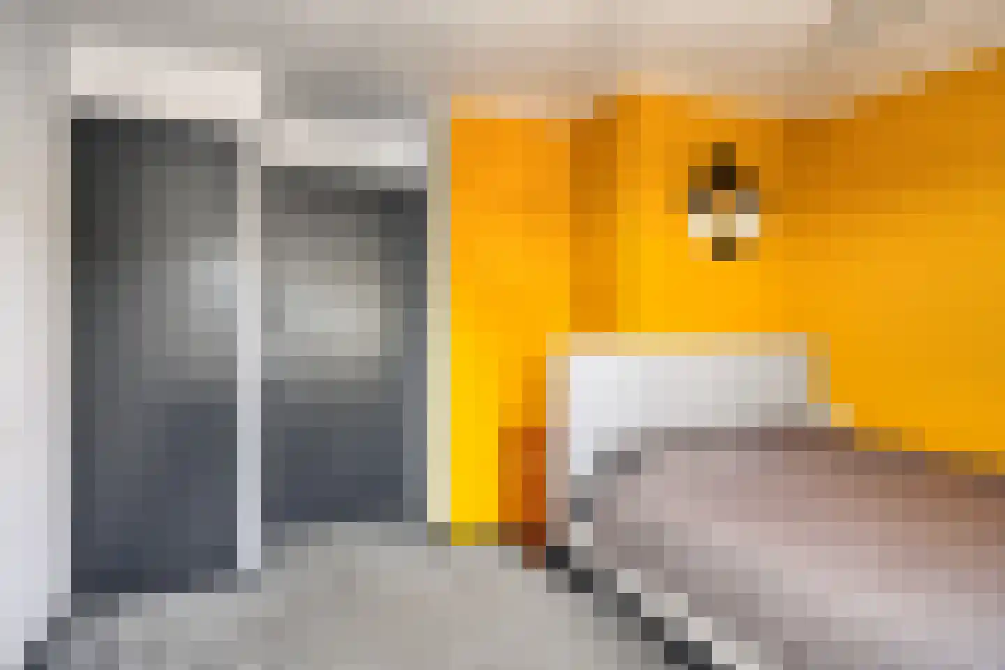 Tuinbouwweg 30 Haarsteeg thumbnail 44