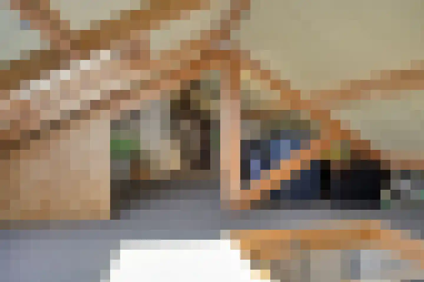 Tuinbouwweg 30 Haarsteeg thumbnail 45