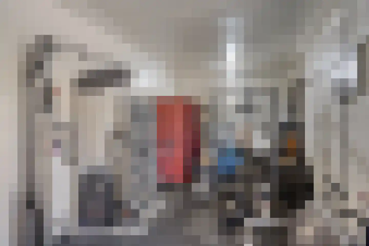 Tuinbouwweg 30 Haarsteeg thumbnail 75