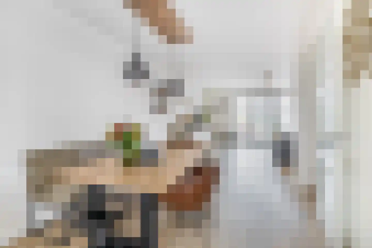 Tuinbouwweg 31 Waddinxveen thumbnail 9