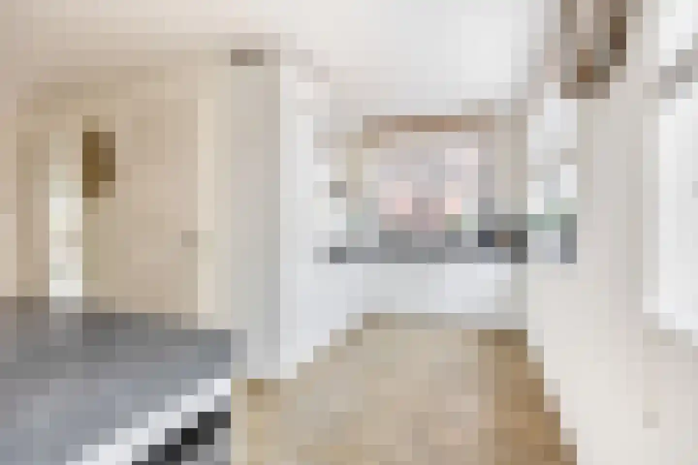 Tuinbouwweg 31 Waddinxveen thumbnail 11