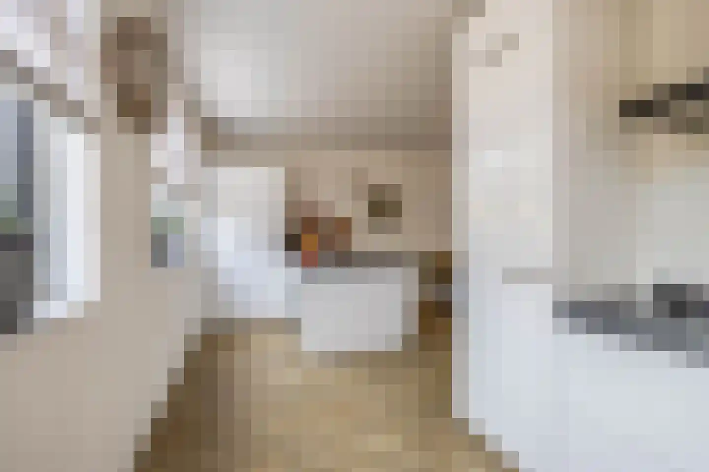 Tuinbouwweg 31 Waddinxveen thumbnail 14